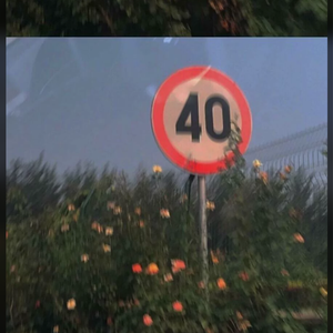 免费观看三级电影
